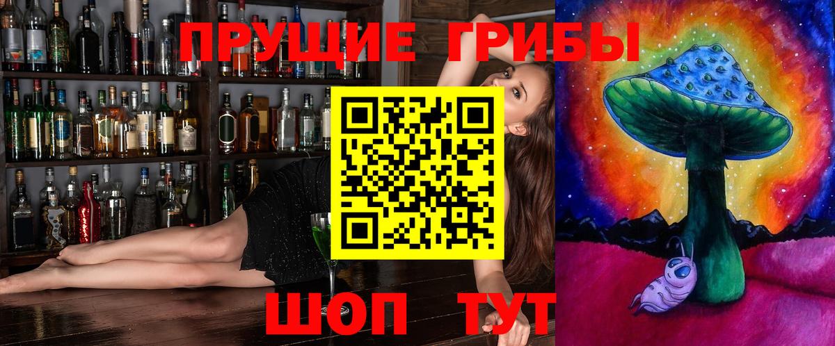 Галлюциногенные грибы Psilocybe Щёлково