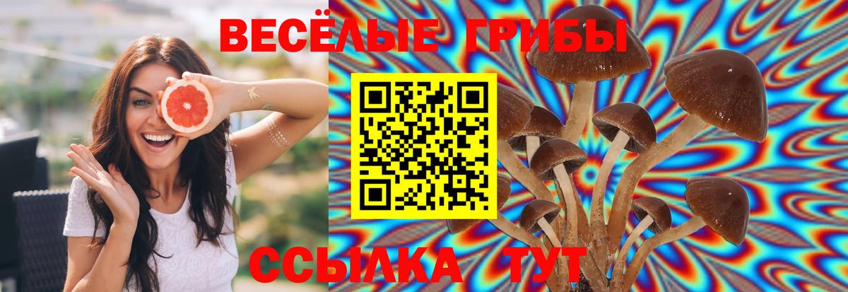 Галлюциногенные грибы Cubensis  Вход с VPN  Щёлково 